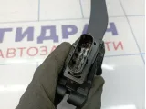 Педаль газа Volkswagen Tiguan (Mk2) 5Q1723503J