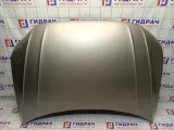 Капот Volkswagen Tiguan (Mk2) 5NA823031H