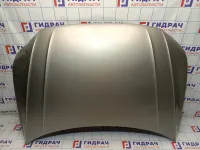 Капот Volkswagen Tiguan (Mk2) 5NA823031H