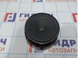 Динамик передний Volkswagen Tiguan (Mk2) 5NA035454