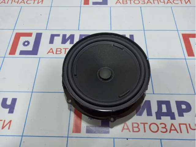 Динамик передний Volkswagen Tiguan (Mk2) 5NA035454