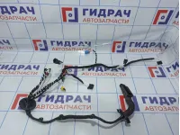 Проводка двери передней левой Volkswagen Tiguan (Mk2) 5NB971120FG
