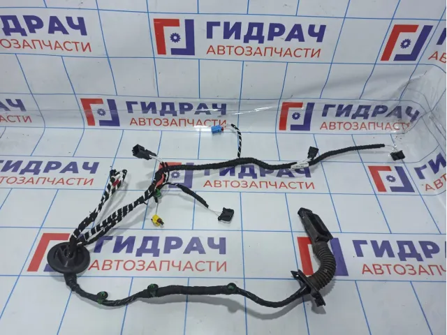 Проводка двери передней левой Volkswagen Tiguan (Mk2) 5NB971120FG