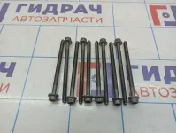 Болт головки блока Volkswagen Tiguan (Mk2) WHT007089