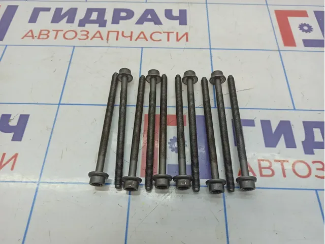 Болт головки блока Volkswagen Tiguan (Mk2) WHT007089