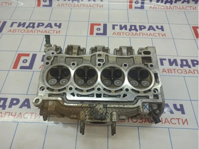 Головка блока Volkswagen Tiguan (Mk2) 04E103064F