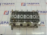 Головка блока Volkswagen Tiguan (Mk2) 04E103064F