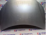 Капот Volkswagen Tiguan 5N0823031D