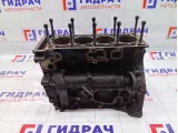 Блок цилиндров Volkswagen Tiguan 06H103011AP