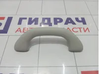 Ручка потолочная Volkswagen Tiguan 1K0857607MY20