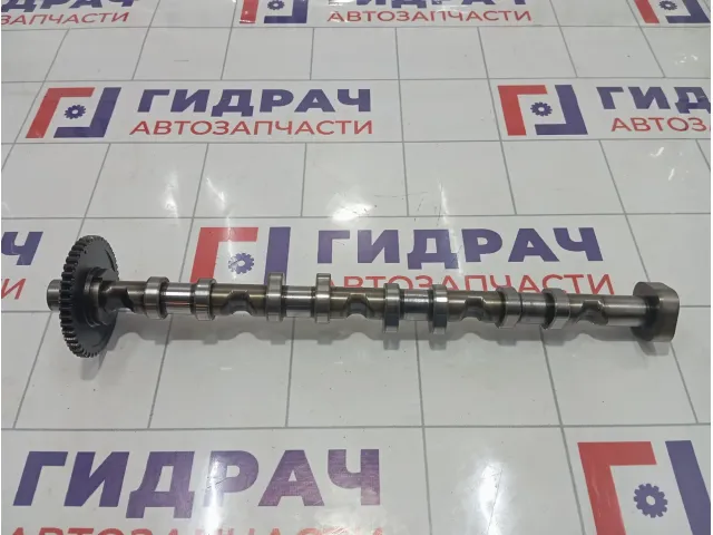 Распредвал выпускной Volkswagen Tiguan 06H109022BB