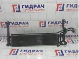 Радиатор (маслоохладитель) АКПП Volkswagen Tiguan 5N0317019C