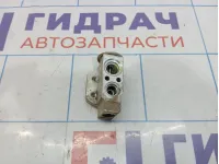 Клапан кондиционера Volkswagen Tiguan (NF) 1K0820679