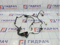 Проводка двери передней левой Volkswagen Tiguan (NF) 5N1971120K