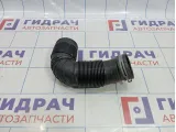 Патрубок воздушного фильтра Volkswagen Tiguan (NF) 5N0129684D