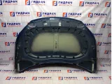 Капот Volkswagen Tiguan (NF) 5N0823031D