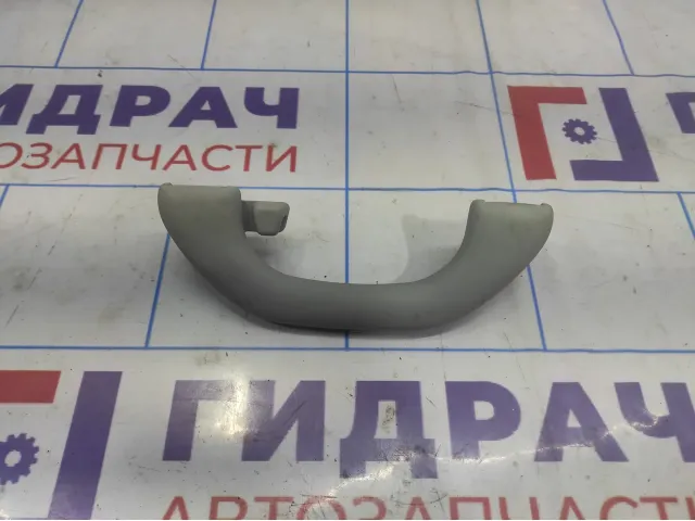 Ручка внутренняя потолочная Volkswagen Tiguan (NF) 1K0857607NY20