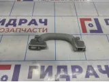 Ручка внутренняя потолочная Volkswagen Tiguan (NF) 1K0857607NY20