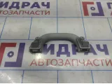 Ручка внутренняя потолочная Volkswagen Tiguan (NF) 1K0857607MY20