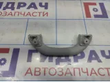 Ручка внутренняя потолочная Volkswagen Tiguan (NF) 1K0857607MY20