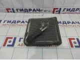 Испаритель кондиционера Volkswagen Tiguan (NF) 3C1820103B