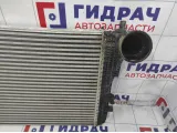 Интеркулер Volkswagen Tiguan (NF) 3C0145805R