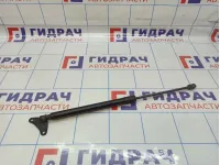 Амортизатор двери багажника левый Volkswagen Tiguan (NF) 5N0827550D