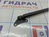 Амортизатор двери багажника правый Volkswagen Tiguan (NF) 5N0827550D
