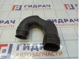 Патрубок воздушного фильтра Volkswagen Tiguan (NF) 5N0129618C