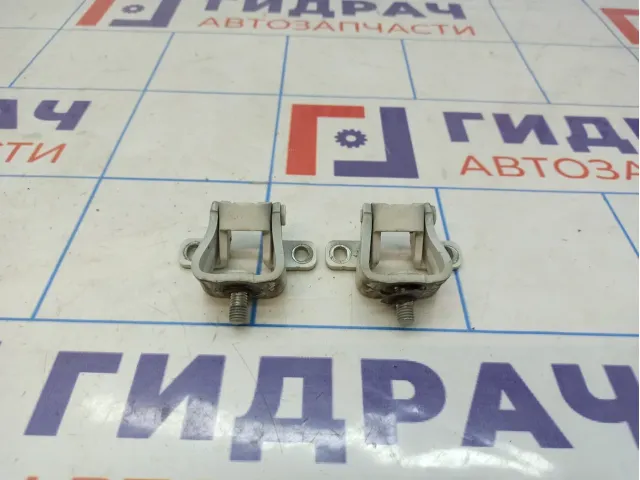 Петли двери багажника Volkswagen Tiguan (NF)