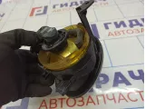 Фара противотуманная левая Volkswagen Tiguan (NF) 5K0941699