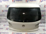 Дверь багажника Volkswagen Tiguan (NF)