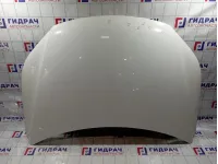 Капот Volkswagen Tiguan (NF)