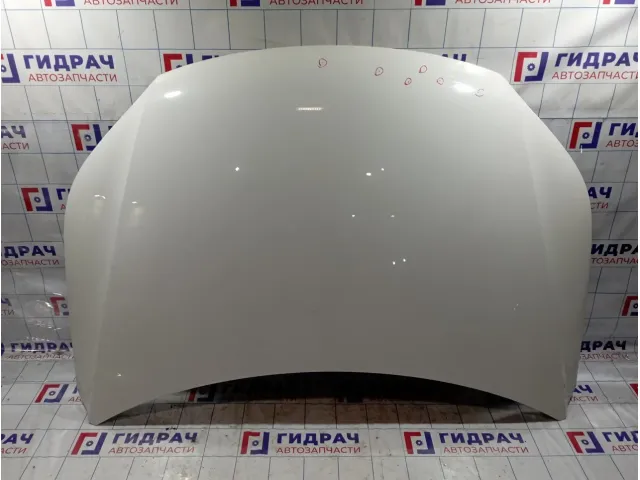 Капот Volkswagen Tiguan (NF)