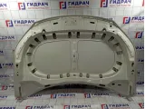 Капот Volkswagen Tiguan (NF)