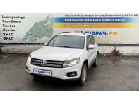 Volkswagen Tiguan (NF)