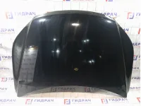 Капот Volkswagen Tiguan 5N0823031D