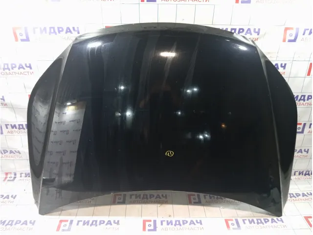 Капот Volkswagen Tiguan 5N0823031D