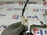 Проводка двери багажника Volkswagen Tiguan 5N0971148BL