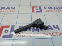 Катушка зажигания Volkswagen Tiguan (Mk2) 06L905110H.