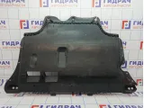 Защита двигателя Volkswagen Tiguan (Mk2) 5QF825901B. Дефекты.