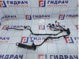 Проводка двери передней левой Volkswagen Tiguan (Mk2) 5NB971161BA.