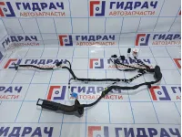 Проводка двери передней левой Volkswagen Tiguan (Mk2) 5NB971161BA.