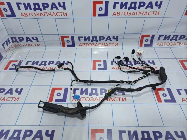 Проводка двери передней левой Volkswagen Tiguan (Mk2) 5NB971161BA.