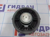 Динамик передний Volkswagen Tiguan (Mk2) 5NA035454.
