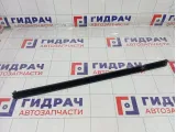 Уплотнитель стекла заднего левого Volkswagen Tiguan 5NA8394795AP