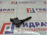 Катушка зажигания Volkswagen Tiguan 04E905110P