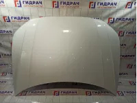 Капот Volkswagen Tiguan 5NA823031H