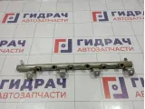 Рейка топливная (рампа) Volkswagen Touareg (GP) 022133317J