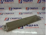 Радиатор (маслоохладитель) АКПП Volkswagen Touareg (GP) 8MO376726291